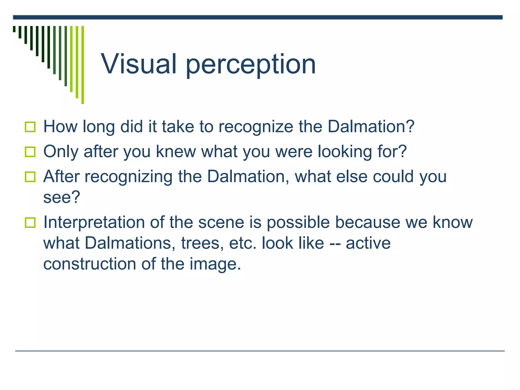 Visual perception
 How long did it take to recognize the Dalmation?
 Only after you knew what you were looking for?
 After recognizing the Dalmation, what else could you
see?
 Interpretation of the scene is possible because we know
what Dalmations, trees, etc. look like -- active
construction of the image.
 