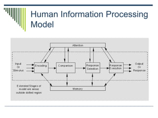 Human Information Processing
Model
 
