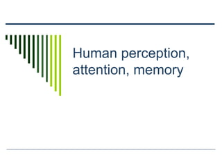 Human perception,
attention, memory
 