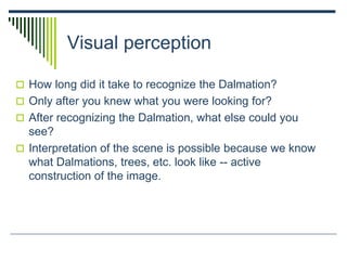 Visual perception
 How long did it take to recognize the Dalmation?
 Only after you knew what you were looking for?
 After recognizing the Dalmation, what else could you
see?
 Interpretation of the scene is possible because we know
what Dalmations, trees, etc. look like -- active
construction of the image.
 