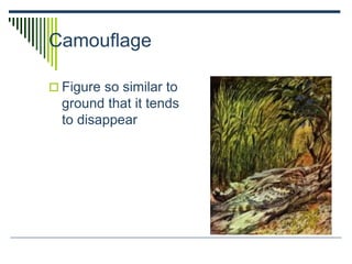 Camouflage
 Figure so similar to
ground that it tends
to disappear
 