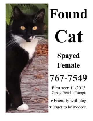 Found

Cat
Spayed
Female

767-7549
First seen 11/2013
Casey Road ~ Tampa
♥ Friendly

with dog.

♥ Eager to be indoors.

 
