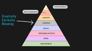 Creativity
Curiosity
Meaning
 