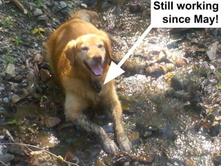 Still working
since May!
 