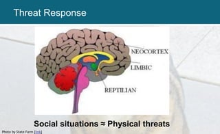 Photo by State Farm [link]
Social situations ≈ Physical threats
Threat Response
 