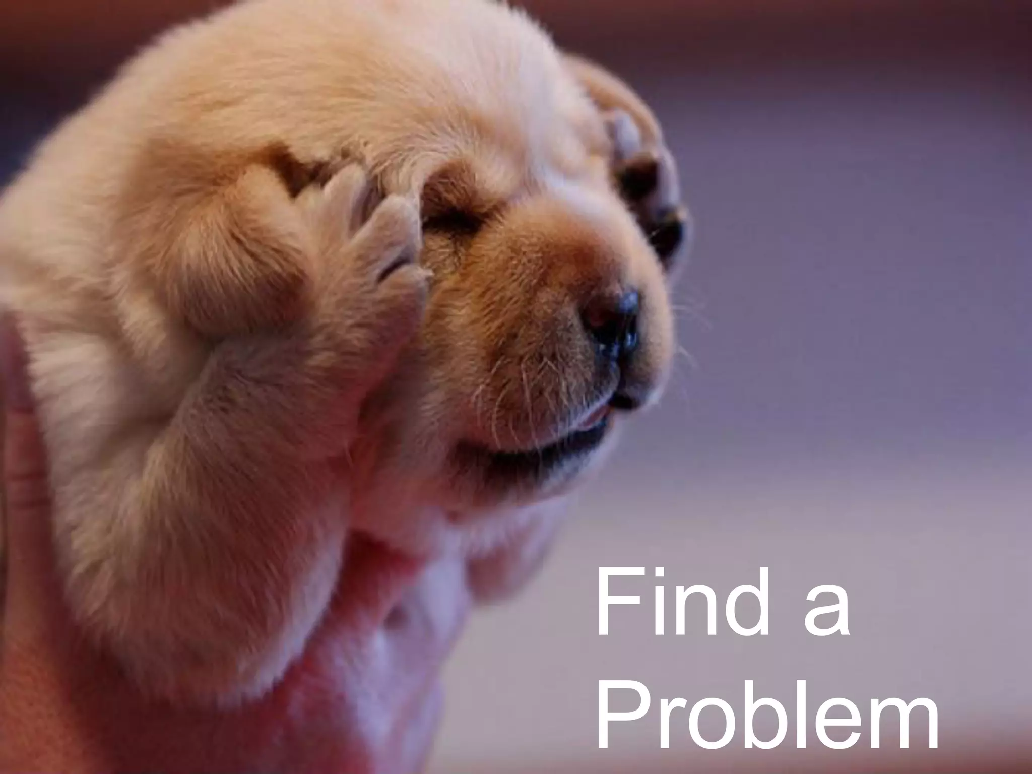 Find a
Problem
 