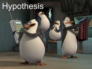 Hypothesis
 