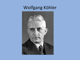Wolfgang Köhler 