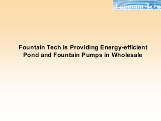 Fountain Tech is Providing Energy-efficient
Pond and Fountain Pumps in Wholesale
 