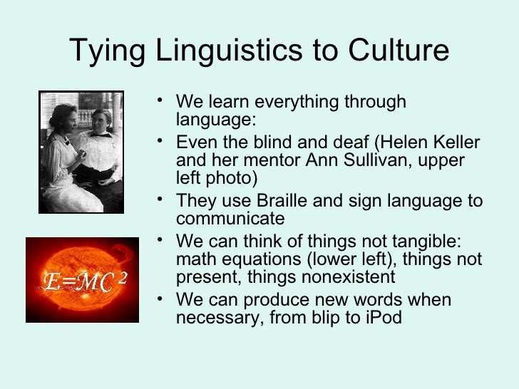 Four Fields in Anthropology