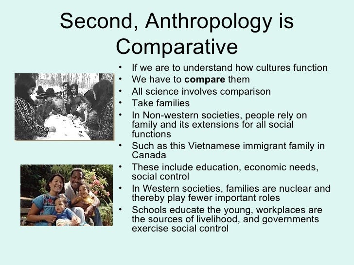 Four Fields in Anthropology