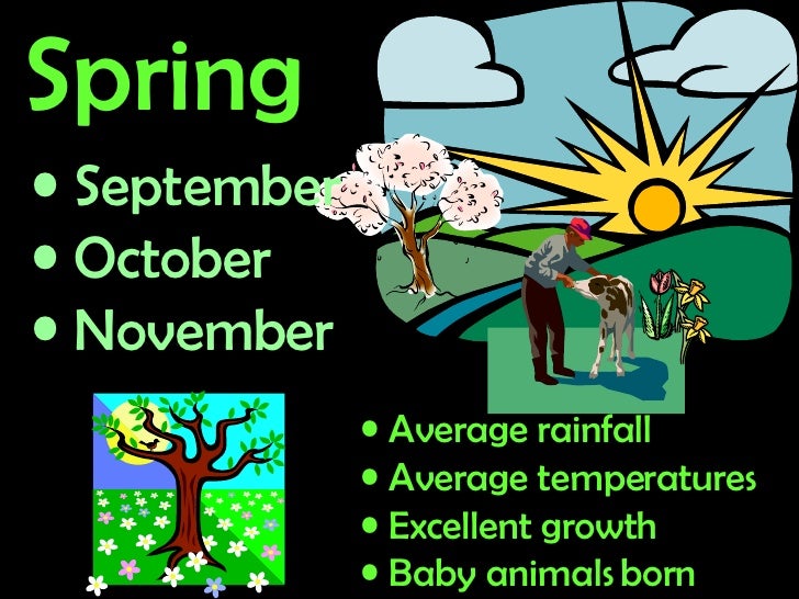 Four Seasons in New Zealand