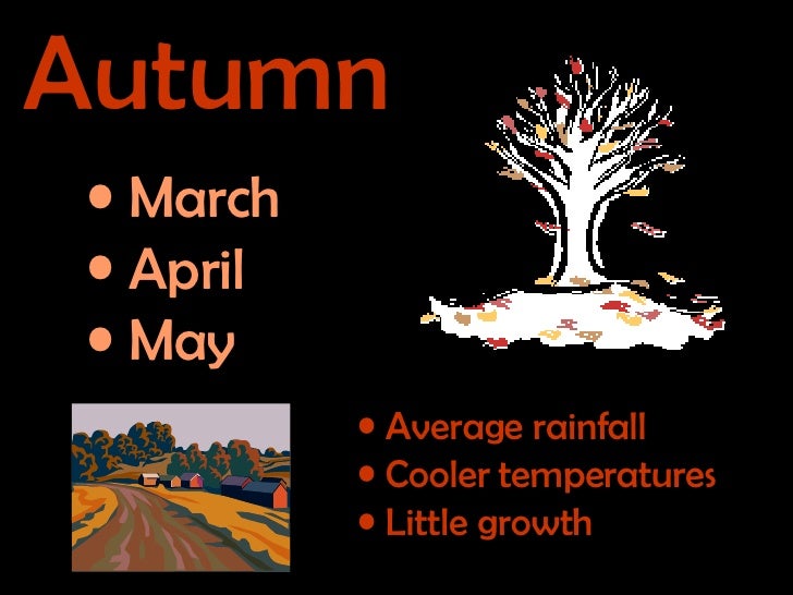 Four Seasons in New Zealand