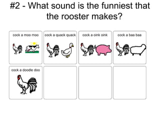 #2 - What sound is the funniest that
        the rooster makes?
 