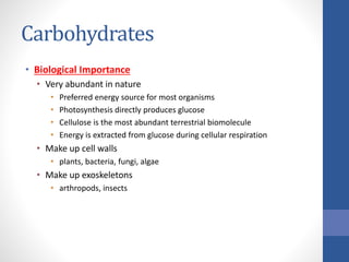 Carbohydrates
• Biological Importance
• Very abundant in nature
• Preferred energy source for most organisms
• Photosynthesis directly produces glucose
• Cellulose is the most abundant terrestrial biomolecule
• Energy is extracted from glucose during cellular respiration
• Make up cell walls
• plants, bacteria, fungi, algae
• Make up exoskeletons
• arthropods, insects
 