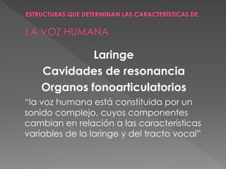 Laringe
    Cavidades de resonancia
    Organos fonoarticulatorios
“la voz humana está constituida por un
sonido complejo, cuyos componentes
cambian en relación a las características
variables de la laringe y del tracto vocal”
 