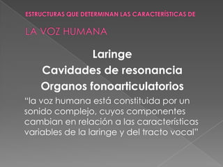 Laringe
    Cavidades de resonancia
    Organos fonoarticulatorios
“la voz humana está constituida por un
sonido complejo, cuyos componentes
cambian en relación a las características
variables de la laringe y del tracto vocal”
 