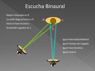 Escucha Binaural
Mayor Intensida en R
La señal llega primero a R   R       L
Varía la Fase Acústica
Se pierden agudos en L           C


                                     Igual Intensidad Relativa
                                     Igual Tiempo de Llegada
                                     Igual Fase Acústica
                                     Igual Timbre
 