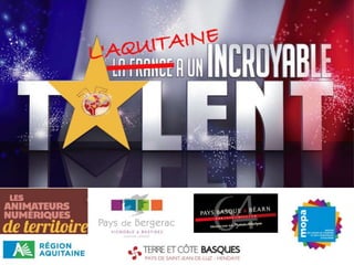 Fourmis d'or Aquitaine #ANT3