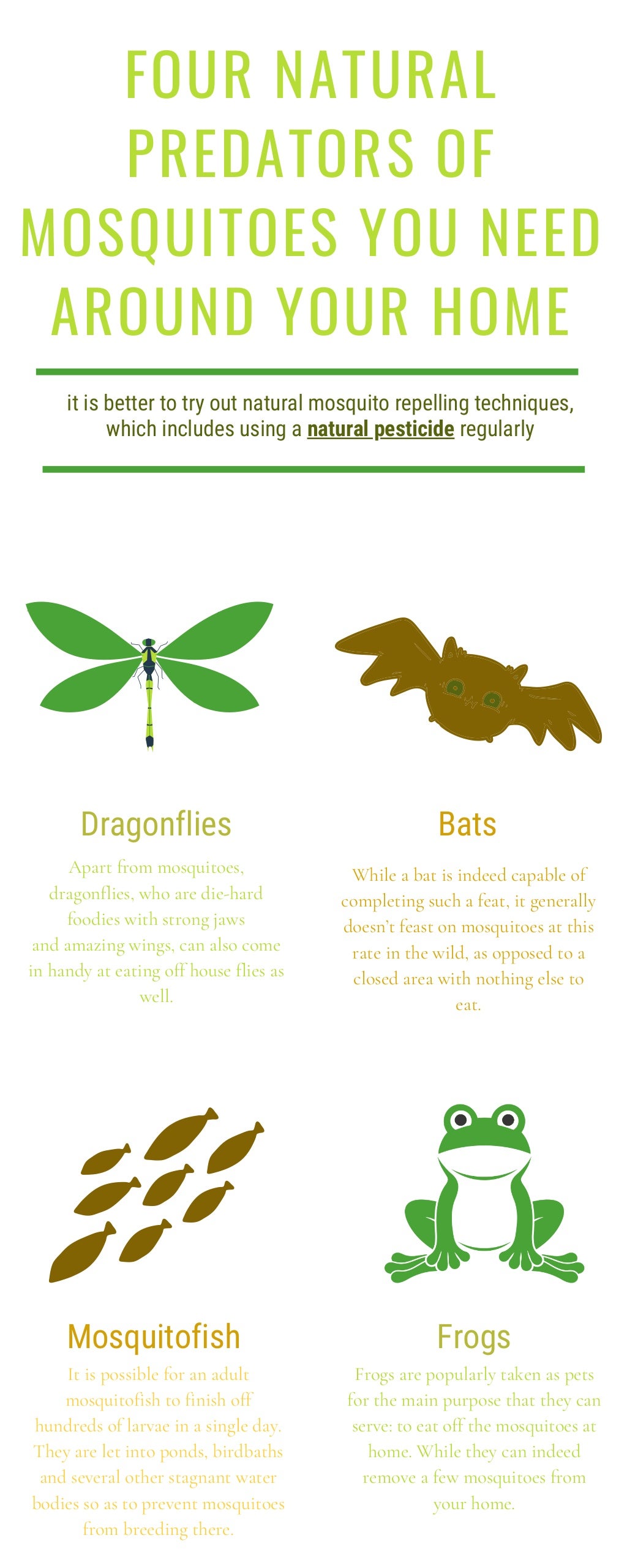 Four Natural Predators of Mosquitoes You Need Around Your Home