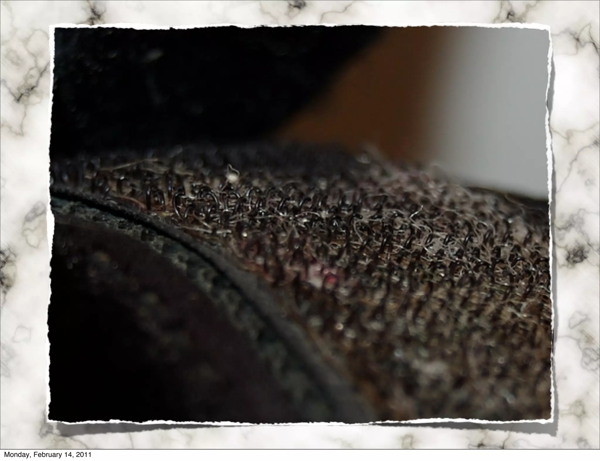 Monday, February 14, 2011
 