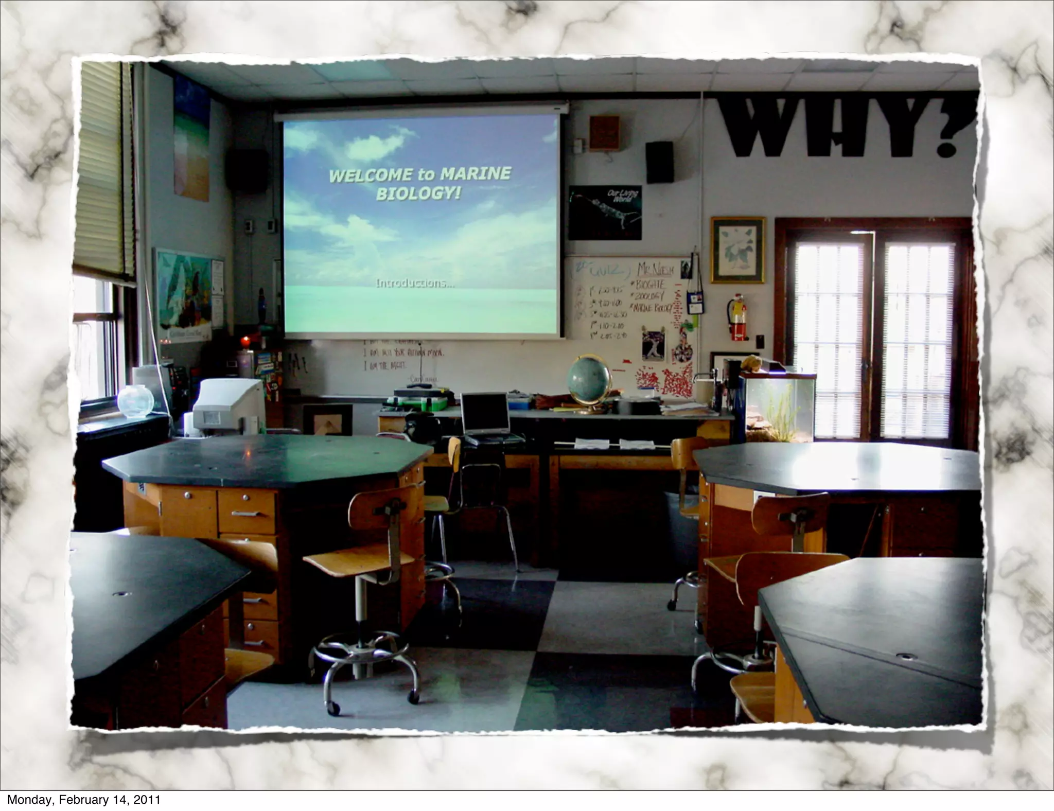 Monday, February 14, 2011
 