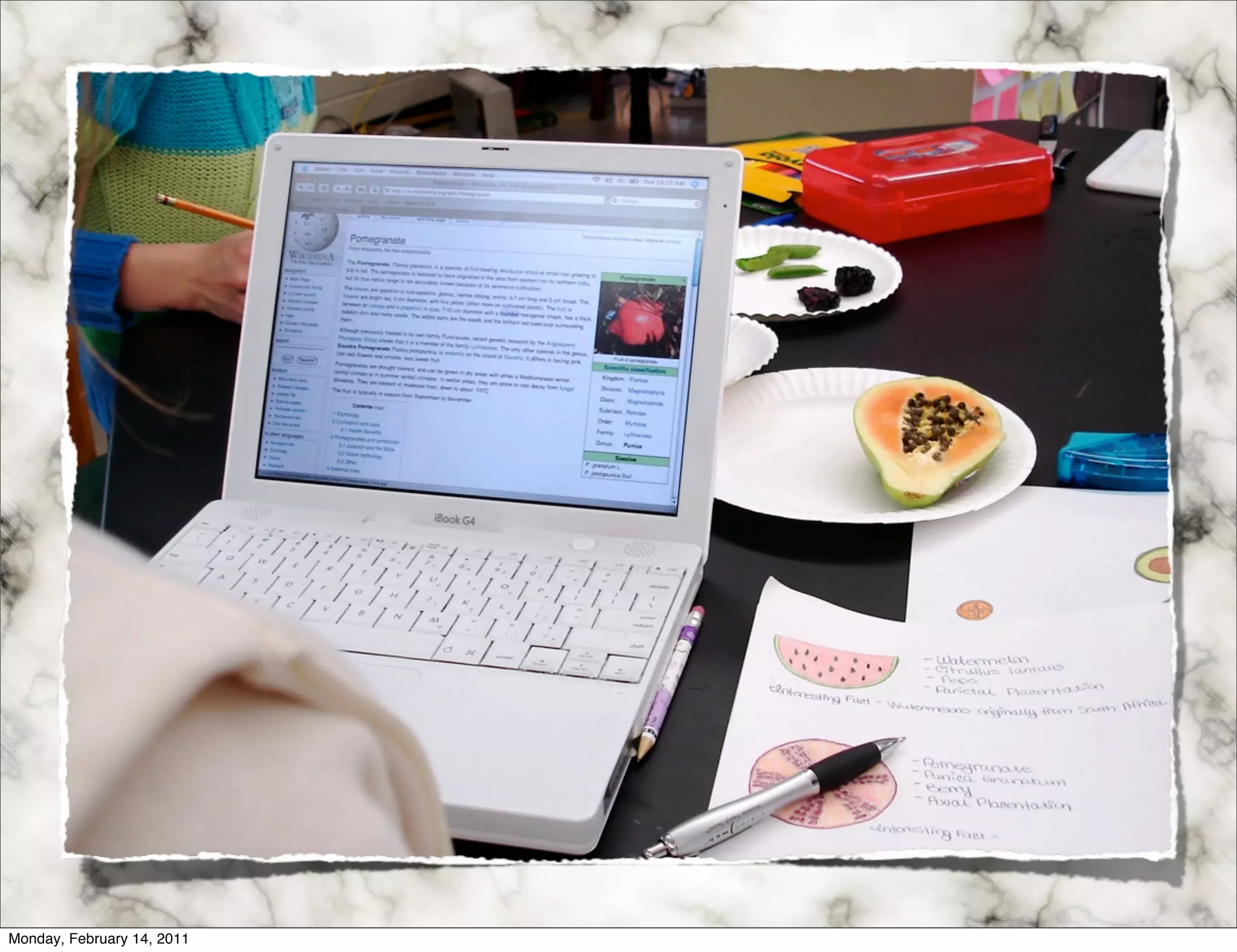 Monday, February 14, 2011
 