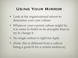 Four Principles, Four Cultures, One Mirror