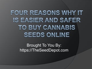 Four Reasons Why It Is Easier and Safer to Buy Cannabis Seeds Online Brought To You By: https://TheSeedDepot.com 
