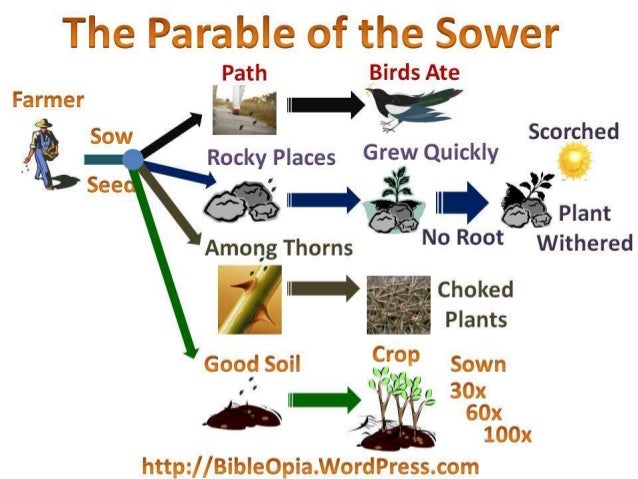 Four soils four hearts