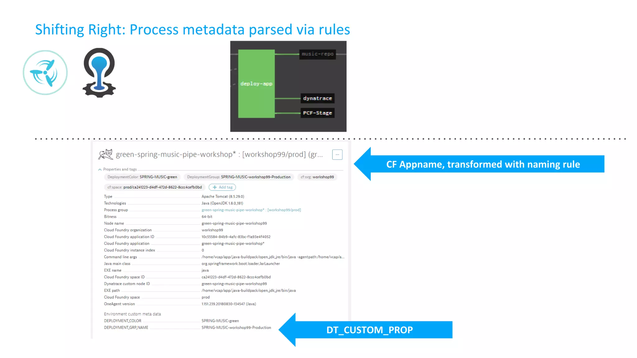 Shifting Right: Process metadata parsed via rules
DT_CUSTOM_PROP
CF Appname, transformed with naming rule
 