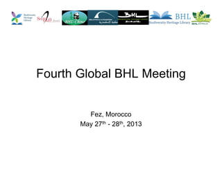 Fourth Global BHL Meeting
Fez, Morocco
May 27th - 28th, 2013
 