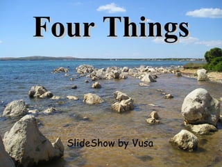 Four Things SlideShow by Vusa 