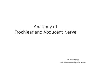 Anatomy of
Trochlear and Abducent Nerve
Dr. Akshat Tyagi
Dept of Ophthalmology SMC, Meerut
 
