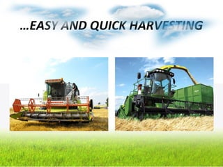 …EASY AND QUICK HARVESTING
 