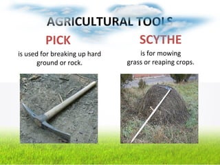 AGRICULTURAL TOOLS
PICK
is used for breaking up hard
ground or rock.
SCYTHE
is for mowing
grass or reaping crops.
 