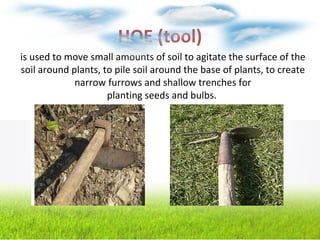 HOE (tool)
is used to move small amounts of soil to agitate the surface of the
soil around plants, to pile soil around the base of plants, to create
narrow furrows and shallow trenches for
planting seeds and bulbs.
 