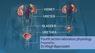 Fourth section laboratory physiology
Prepared by:
Dr.Afagh Bapirzadeh
 