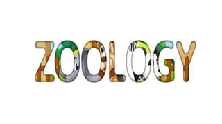 fourth section zoology laboratory guide.pptx