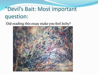 “Devil’s Bait: Most important
question:
Did reading this essay make you feel itchy?
 