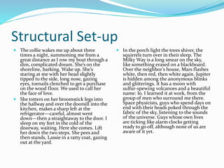Structural Set-up
 The collie wakes me up about three
times a night, summoning me from a
great distance as I row my boat through a
dim, complicated dream. She’s on the
shoreline, barking. Wake up. She’s
staring at me with her head slightly
tipped to the side, long nose, gazing
eyes, toenails clenched to get a purchase
on the wood floor. We used to call her
the face of love.
 She totters on her broomstick legs into
the hallway and over the doorsill into the
kitchen, makes a sharp left at the
refrigerator—careful, almost went
down—then a straightaway to the door. I
sleep on my feet in the cold of the
doorway, waiting. Here she comes. Lift
her down the two steps. She pees and
then stands, Lassie in a ratty coat, gazing
out at the yard.
 In the porch light the trees shiver, the
squirrels turn over in their sleep. The
Milky Way is a long smear on the sky,
like something erased on a blackboard.
Over the neighbor’s house, Mars flashes
white, then red, then white again. Jupiter
is hidden among the anonymous blinks
and glitterings. It has a moon with
sulfur-spewing volcanoes and a beautiful
name: Io. I learned it at work, from the
group of men who surround me there.
Space physicists, guys who spend days on
end with their heads poked through the
fabric of the sky, listening to the sounds
of the universe. Guys whose own lives
are ticking like alarm clocks getting
ready to go off, although none of us are
aware of it yet.
 