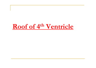 Roof of   4 th   Ventricle
 