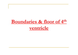 Boundaries & floor of   4 th

      ventricle
 