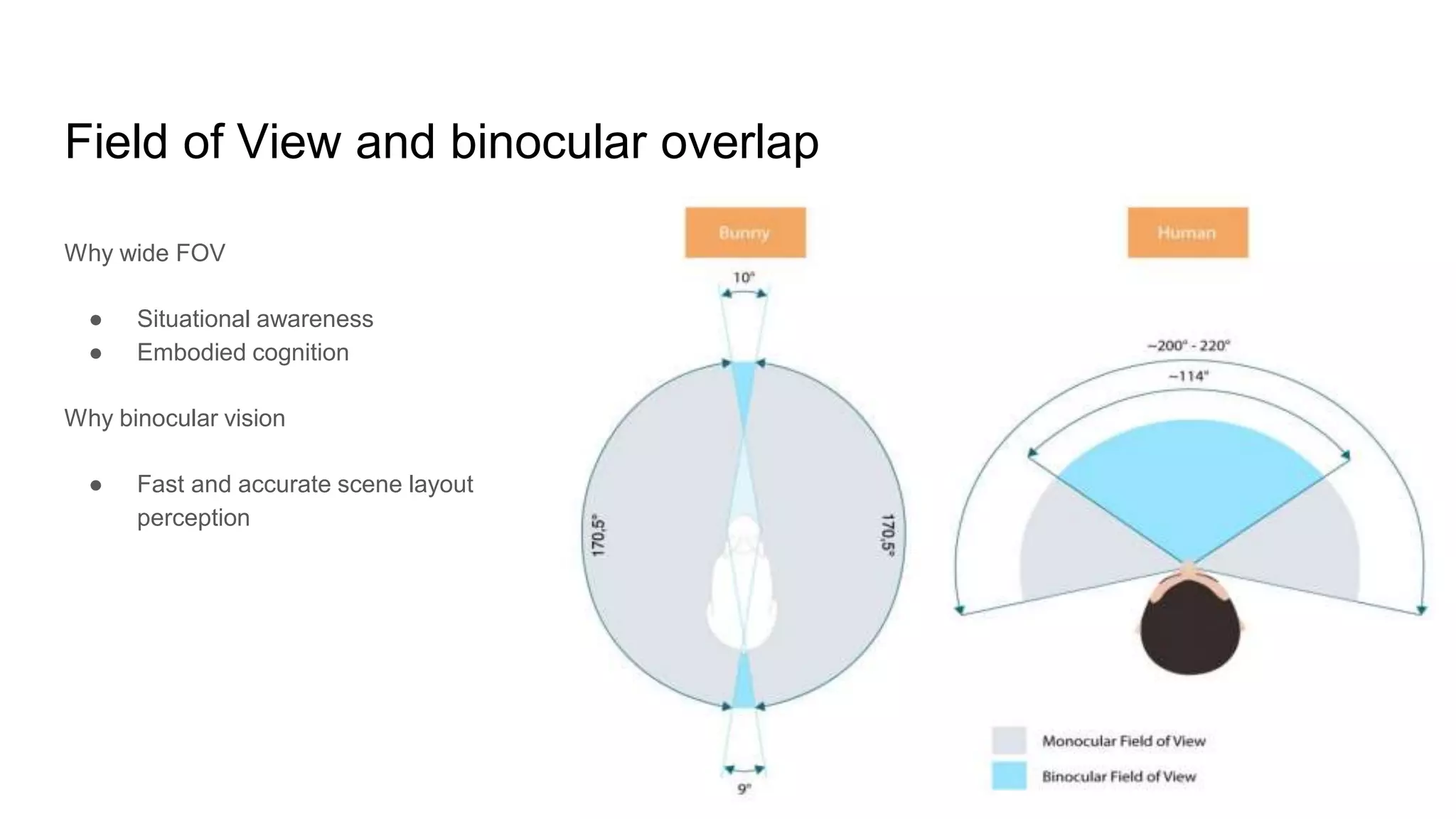 Field of View and binocular overlap
Why wide FOV
● Situational awareness
● Embodied cognition
Why binocular vision
● Fast and accurate scene layout
perception
 