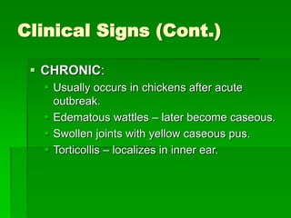 Fowl Cholera is acute infectious disease | PPT