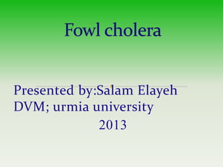 Presented by:Salam Elayeh
DVM; urmia university
2013
 
