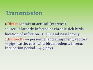 Fowl cholera. clinical signs,diagnosis, treatment, vaccination and prevention.by salam elayh