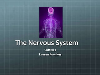 The Nervous System
         Suffixes
      Lauren Fowlkes
 