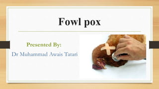 Fowl pox
Presented By:
Dr Muhammad Awais Tatari
 