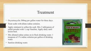 Treatment
• Oxytetracyclin 300mg per gallon water for three days.
• Treat scabs with dilute iodine solution.
• Apply ointment to soften the scab. Mix 2 tablespoon of
sulfur powder with ½ cup Vaseline. Apply daily until
lesion heal.
• Mix diluted iodine solute on in flock drinking water. 1
teaspoon of 1% iodine solution per gallon of drinking
water.
• Sanitize drinking water.
 